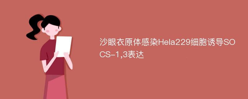 沙眼衣原体感染Hela229细胞诱导SOCS-1,3表达