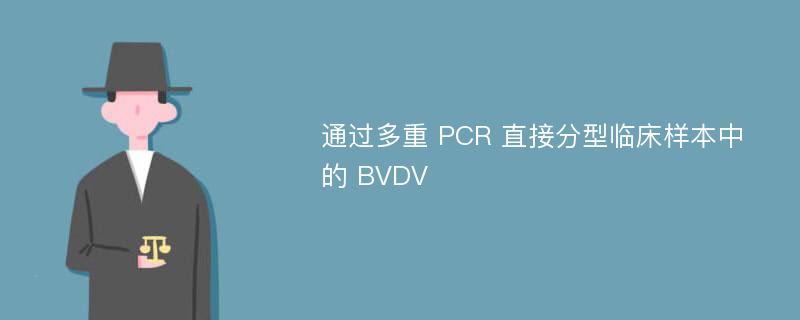 通过多重 PCR 直接分型临床样本中的 BVDV